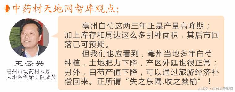 白芍种植山西,一亩地种植多少白芍苗子