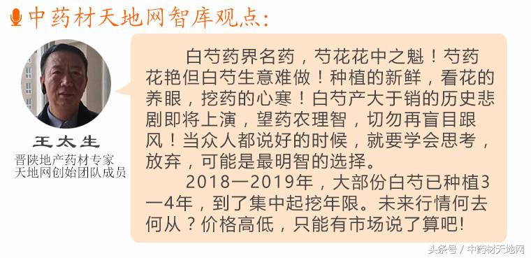 白芍种植山西,一亩地种植多少白芍苗子