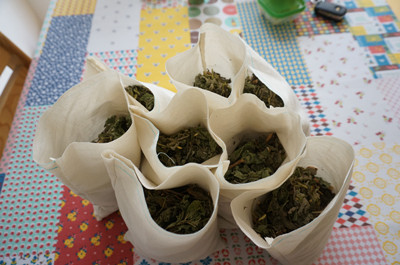 儿童纯中药驱蚊香包,中医驱蚊的自制方法