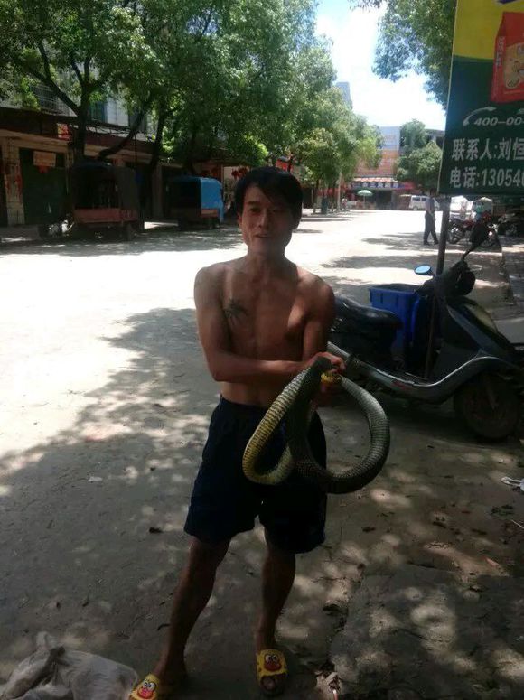 最全防蛇指南之如何防止被蛇咬伤,钓鱼途中遇到水蛇怎么办