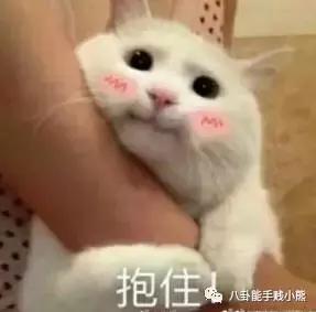 想跟江疏影娜扎一样，在旅途中美完全程，要花多少钱？