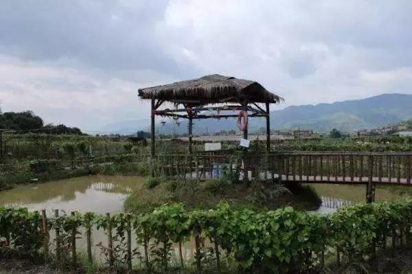 现在最值得去的农庄,农庄不收门票的秘诀