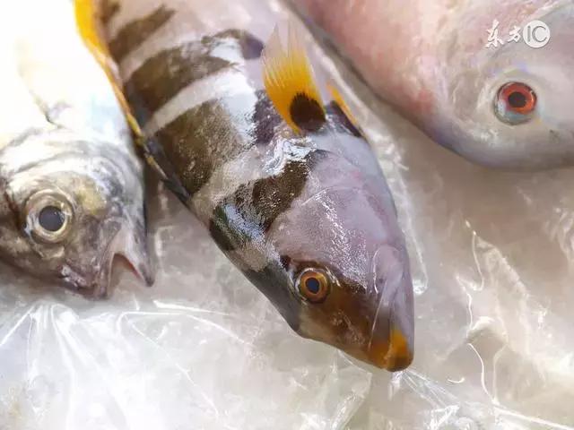 为什么有些地方的海鲜很腥,臻府海鲜怎么做