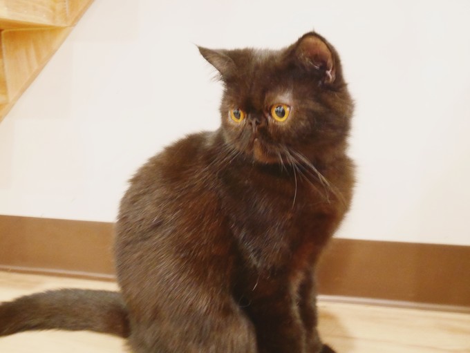 三天吃遍曼谷精选美食（给第一次去曼谷的你）