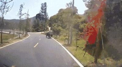 女生宿舍像家一样,女生宿舍和男生宿舍反差