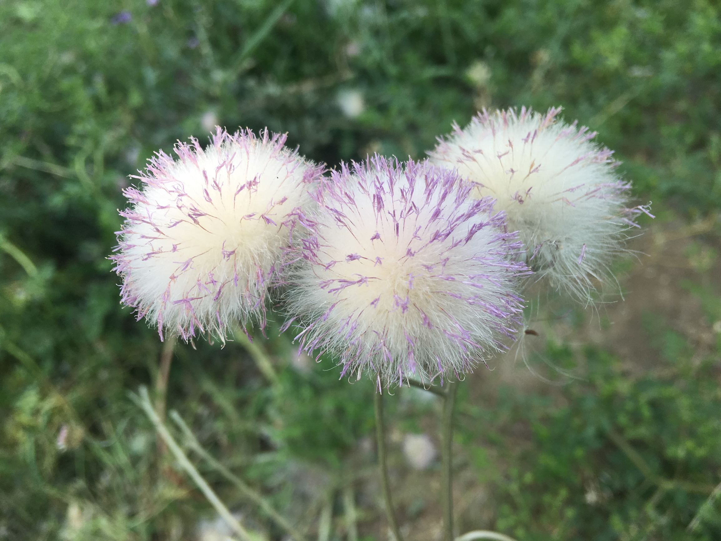 上庄水库常乐村,上庄水库好去处