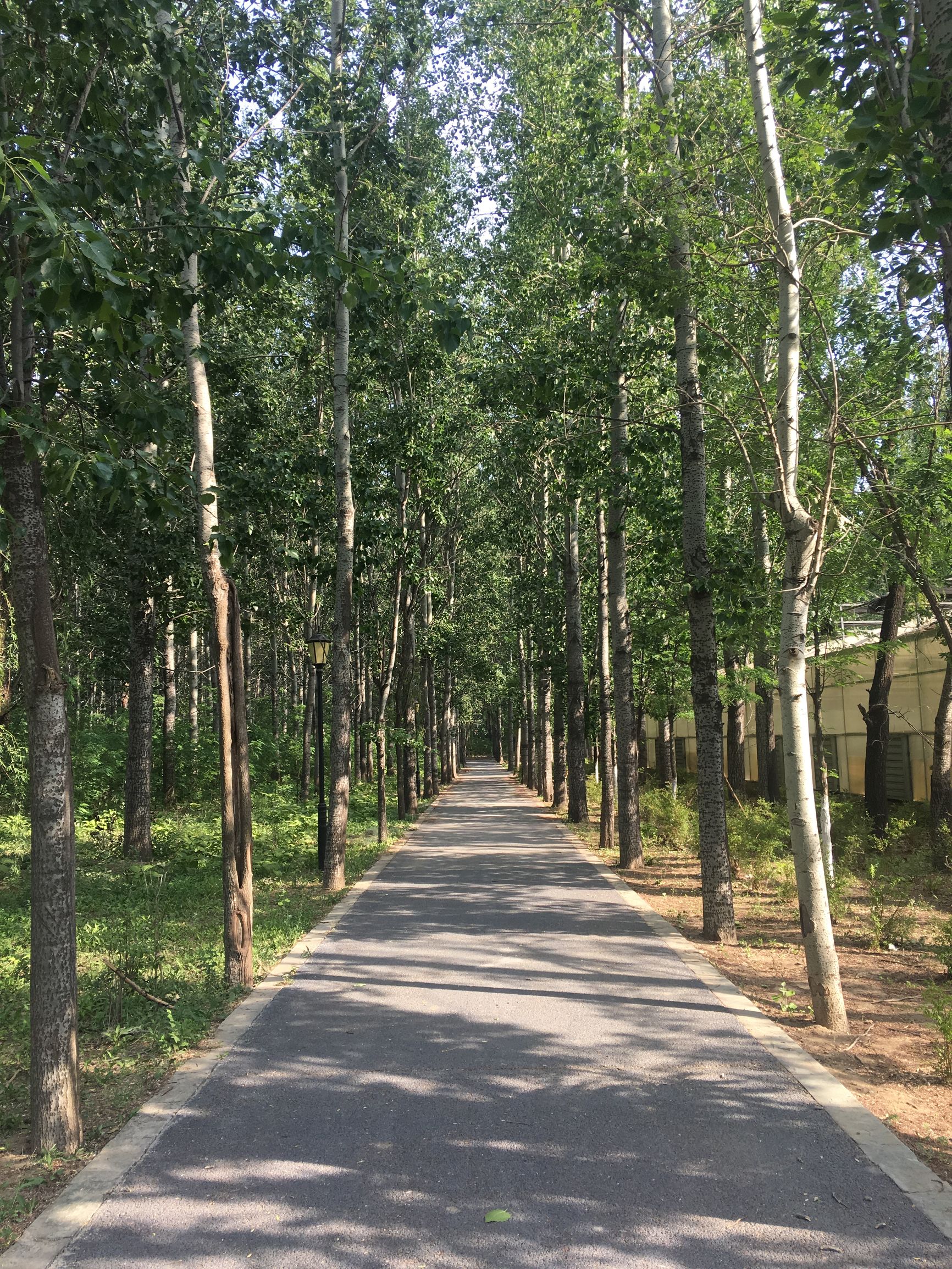 上庄水库常乐村,上庄水库好去处