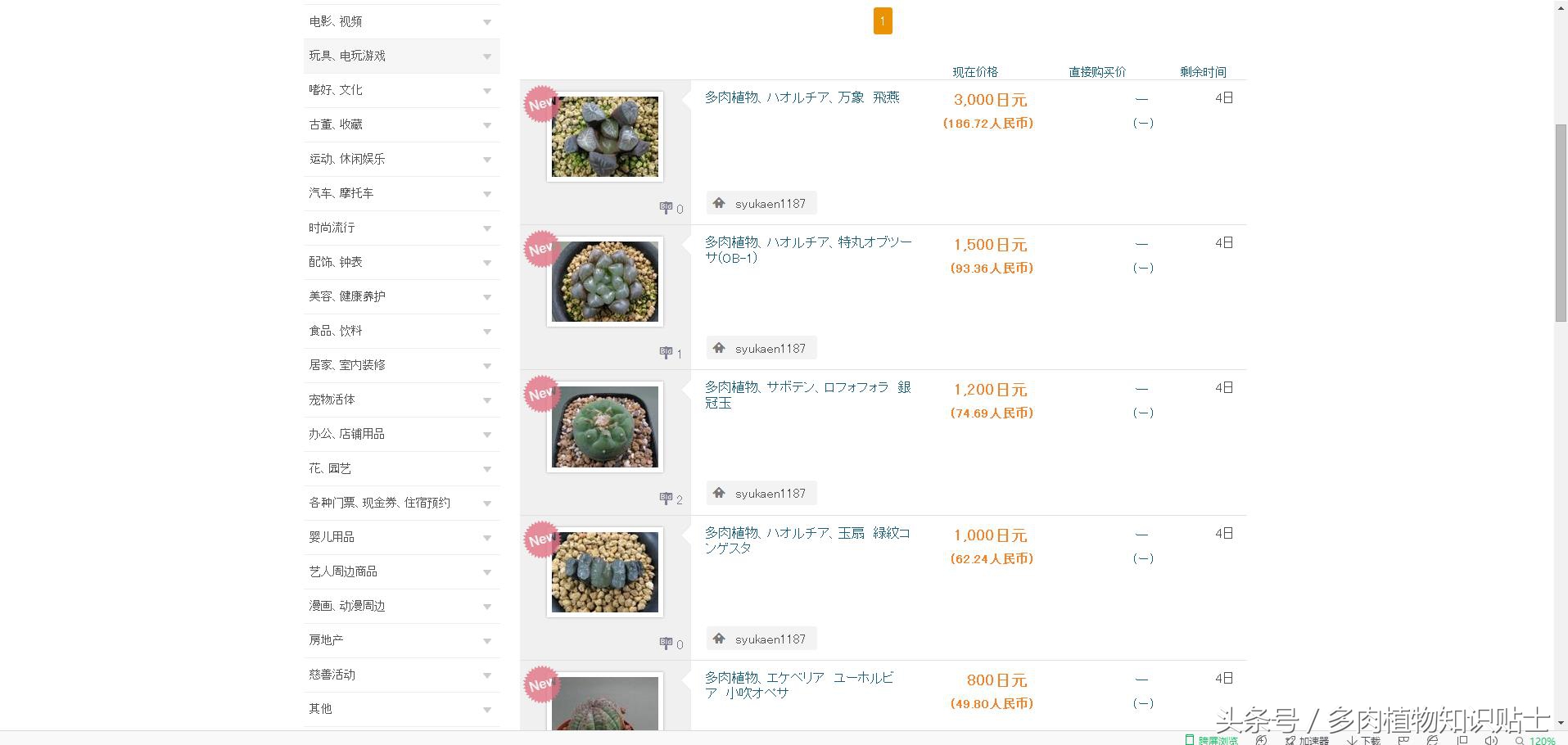 日本十二卷属购买指南，一起去见识下岛国的多肉植物