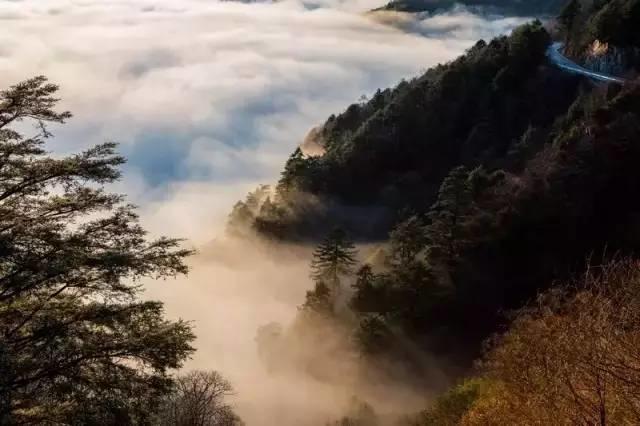 世界那么大，偏独爱神农架