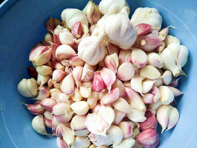 腌甜蒜用味极鲜吗,酸甜爽脆一口下去嘎嘣脆的腌糖蒜