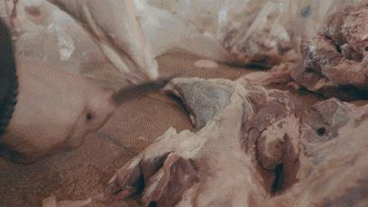 清真美食最好吃的地方,带你吃遍清真美食