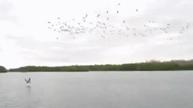 商场见到俊男靓女,商场看到漂亮的女孩子