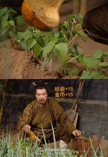 甄嬛传气死皇上搞笑版,甄嬛传搞笑后宫