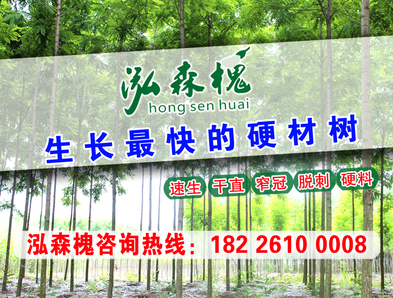 杨絮治疗方法,杨絮对孕妇有影响吗