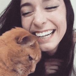 最近流行的gif,gif图最近火的