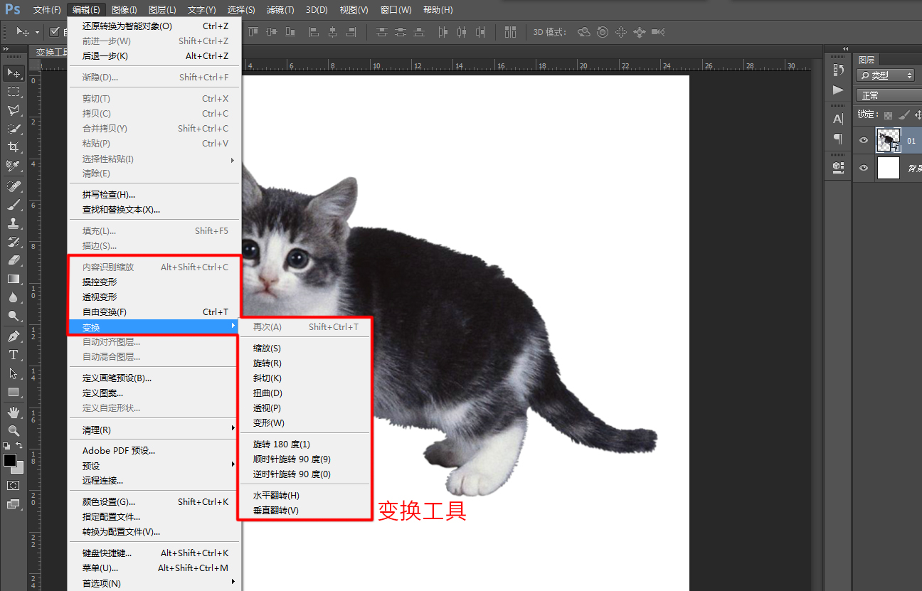ps直接选择工具怎么变形,ps图片变形调整工具