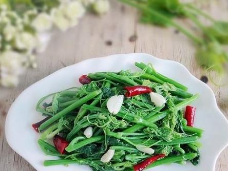 每一种菜都是纯天然的绿色蔬菜,这才是真正的纯天然无公害蔬菜