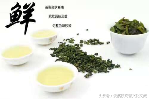 最便宜的铁观音多少钱一斤,铁观音价格最低多少钱一斤