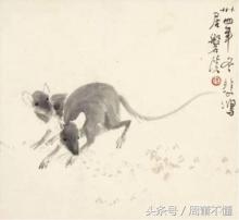 十二生肖由来的动画视频,十二生肖猴子真正的由来