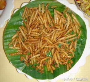 云南人站在食物链的顶端,死也不吃的食物