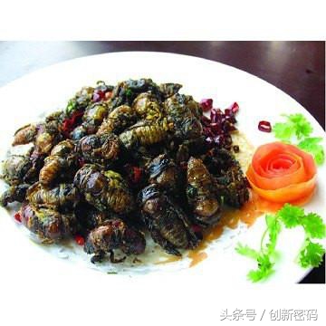 云南人站在食物链的顶端,死也不吃的食物