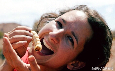 云南人站在食物链的顶端,死也不吃的食物