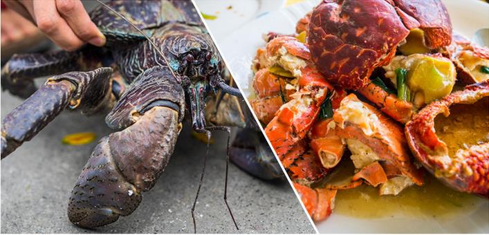 世界上最快乐岛国瓦努阿图旅行指南！