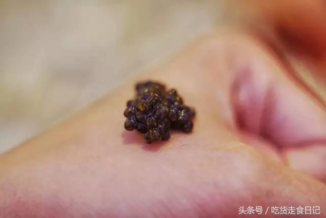 澳门酒店旅游指南,澳门住宿攻略自由行便宜酒店推荐