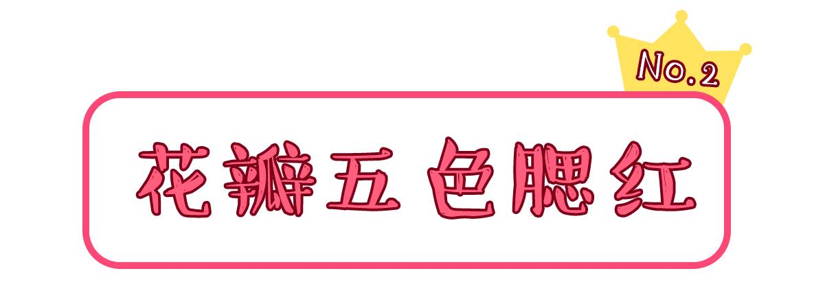 canmake最值得入手的产品,日本最受欢迎的品牌