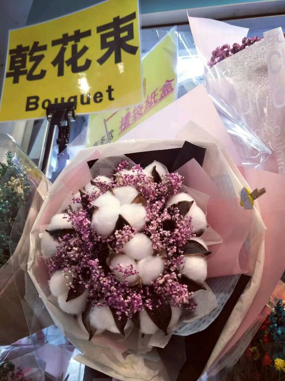 香港星光大道旅游攻略,想去香港澳门旅游攻略