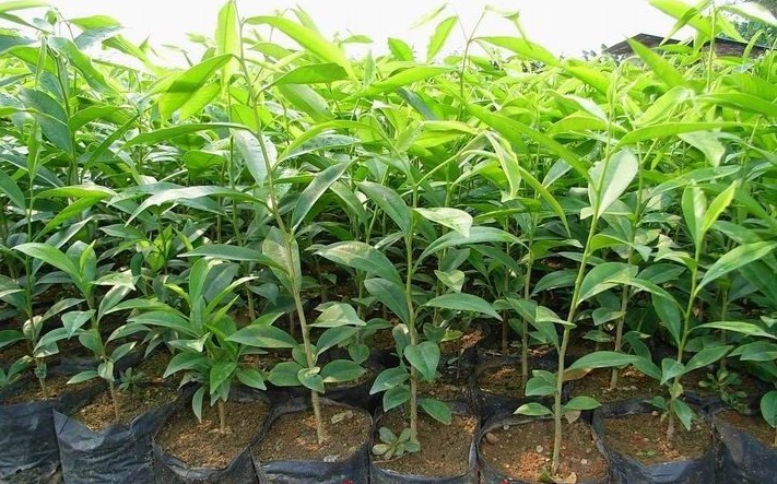 我还要活着的图片,我要为自己好好的活着