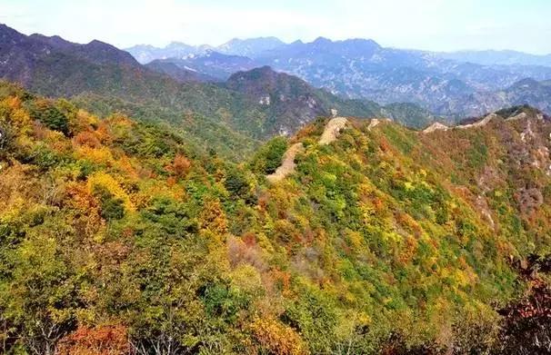 天津值得游玩门票便宜的景点,天津旅游景点门票一览表