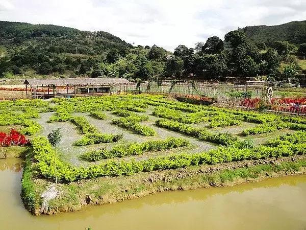 现在最值得去的农庄,农庄不收门票的秘诀