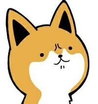 你遭遇了一只doge!精污《神烦狗》出VR游戏