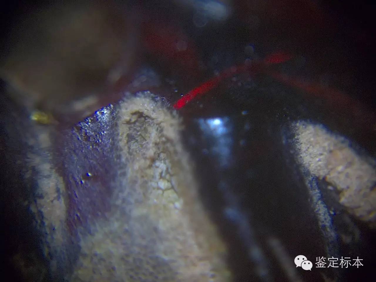 不要被专家忽悠,汉代琥珀珠子特征是什么