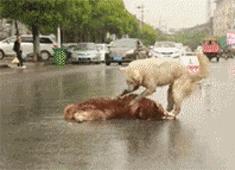 心急吃不了热豆腐里的男孩是谁,心急吃不了热豆腐大哥