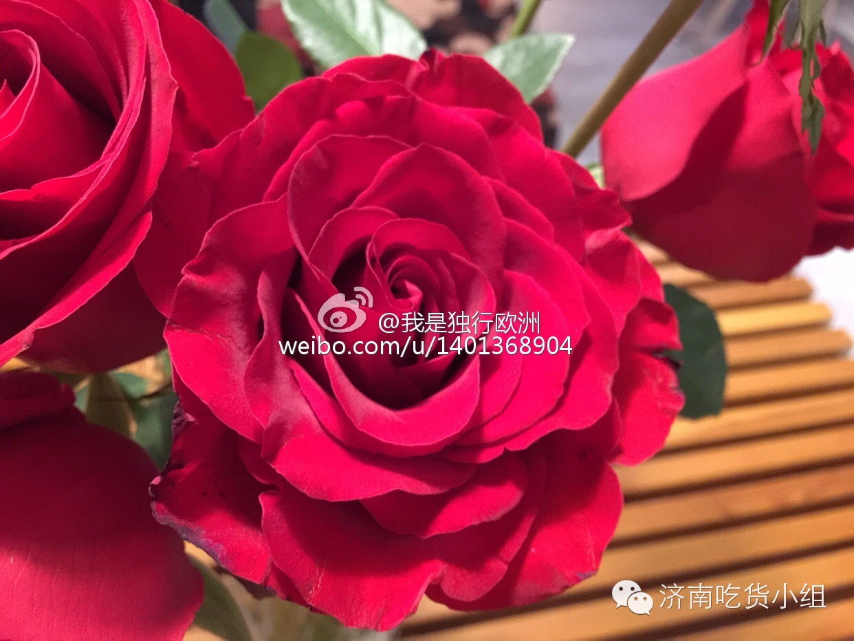 在济南，我想和你“一起”喝咖啡O,∩_∩O~~