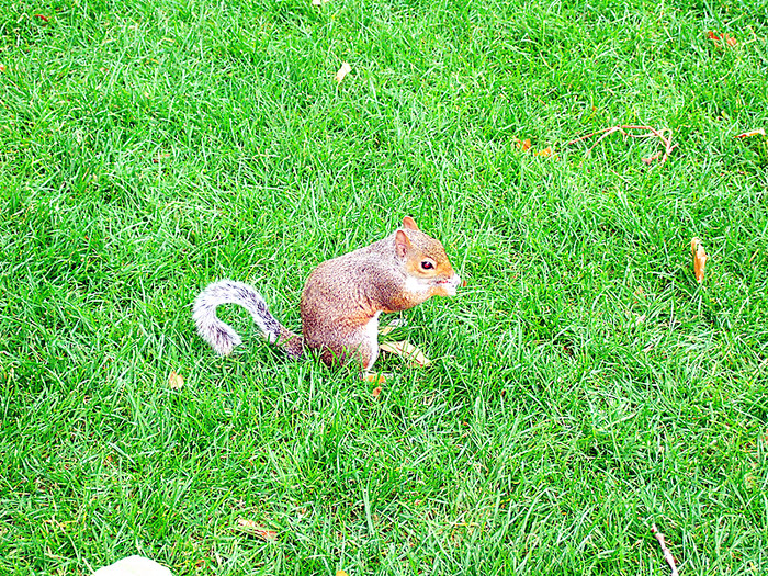 伦敦南部一日游,英国伦敦自由行6日