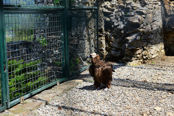 慢行克恩顿，浪回中世纪