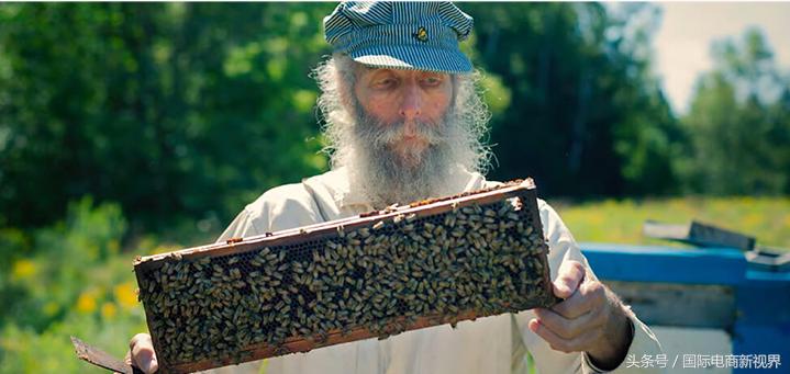 又一个海淘爆品正式入华：小蜜蜂的正规军要来“收割”了