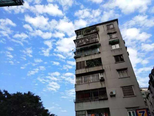 国产双摄像头手机排行,最新款大摄像头手机推荐