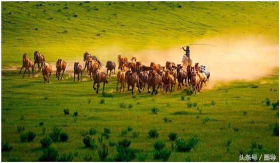 乌兰布统梦回草原原创,乌兰托娅梦回草原原唱