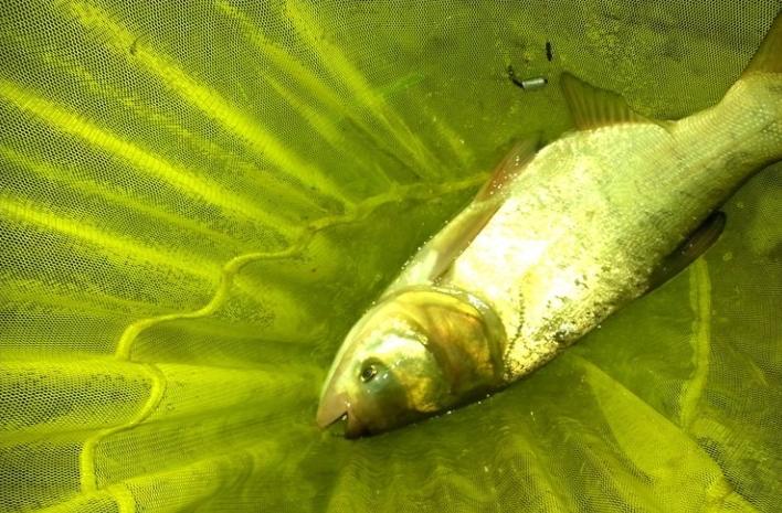 福满天下2500ml,福满天下52度750ml