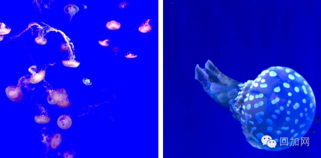 一个人玩儿一下午的地方,一个人玩一天的城市