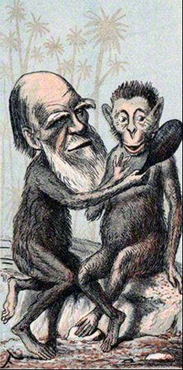 达尔文的进化论最出名的话,为何那么多人怀疑达尔文的进化论