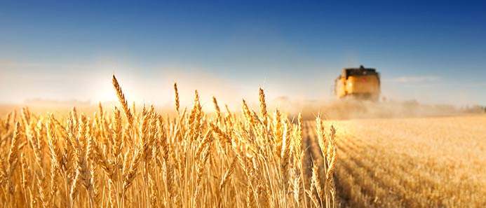 《人民的名义》农机手版:我们的精神一定是要始终健康,不赊账!