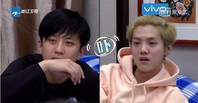 最近综艺节目什么梗 (综艺里有哪些梗)