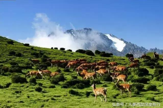 祁连是青海的好地方,冬天的祁连什么地方最美
