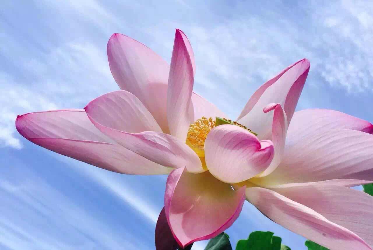 所有遇见都是美好的,所有遇见皆是修行