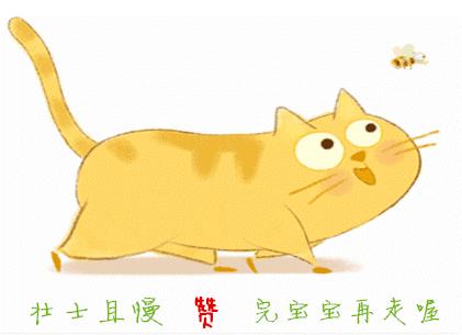 跟猫在一起最好的状态,和猫一起度过的日常生活